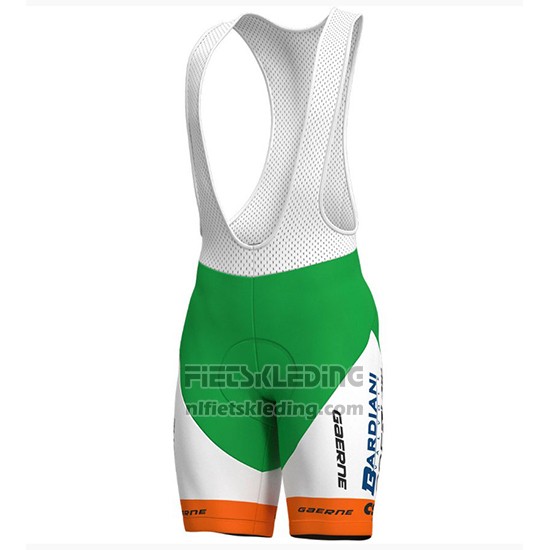 2018 Fietskleding Bardiani Csf Groen en Wit Korte Mouwen en Koersbroek